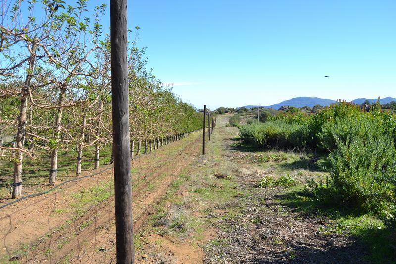 5 Bedroom Property for Sale in Piketberg Rural Western Cape